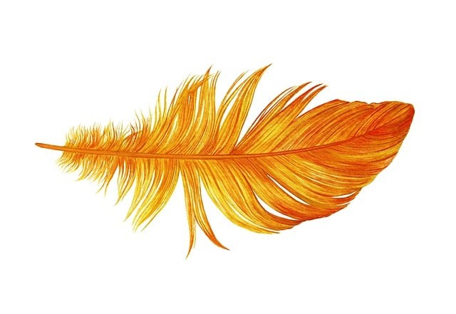 orange-4455415_640