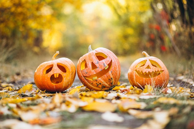 gadgemayur-pumpkin-6720424_640